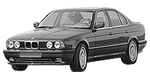 BMW E34 P02E1 Fault Code